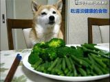 吃什么饭！睡什么觉！元旦统统加班